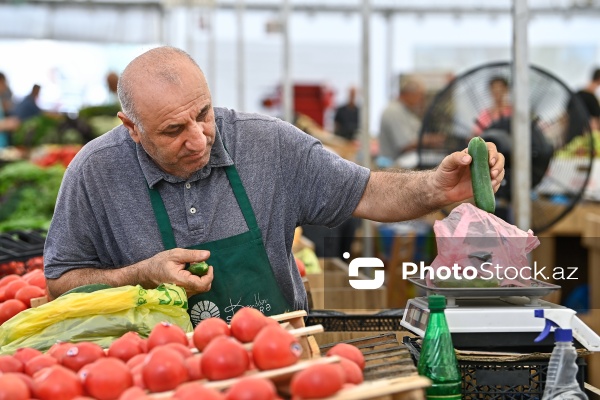 Bakıda keçirilən “Kənddən Şəhərə” yarmarkası