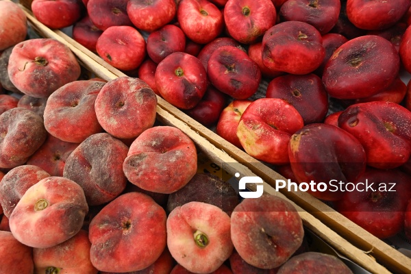 Bakıda keçirilən “Kənddən Şəhərə” yarmarkası