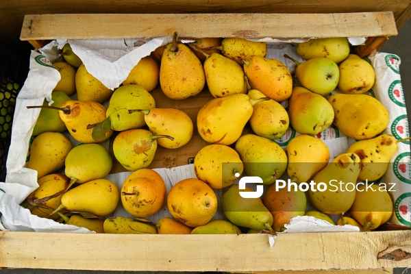 Bakıda keçirilən “Kənddən Şəhərə” yarmarkası