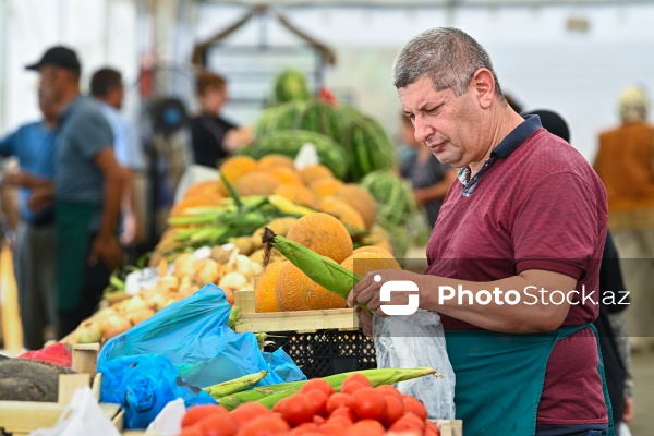 Bakıda keçirilən “Kənddən Şəhərə” yarmarkası
