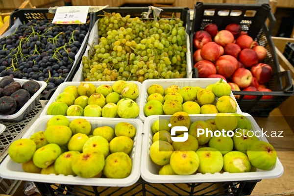 Bakıda keçirilən “Kənddən Şəhərə” yarmarkası