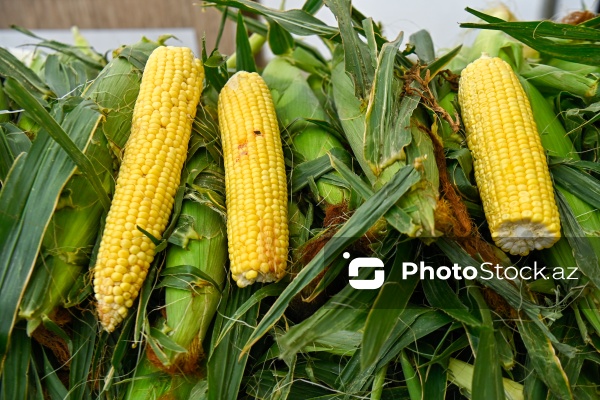 Bakıda keçirilən “Kənddən Şəhərə” yarmarkası