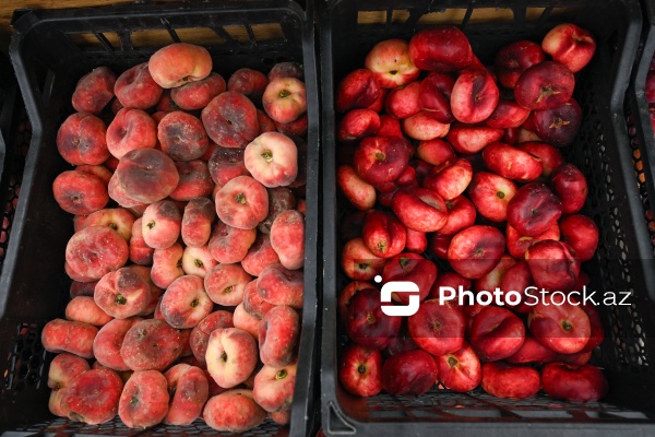 Bakıda keçirilən “Kənddən Şəhərə” yarmarkası