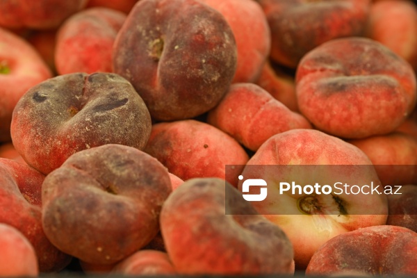 Bakıda keçirilən “Kənddən Şəhərə” yarmarkası