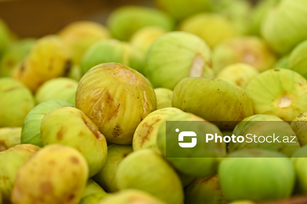 Bakıda keçirilən “Kənddən Şəhərə” yarmarkası