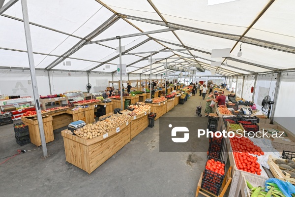 Bakıda keçirilən “Kənddən Şəhərə” yarmarkası