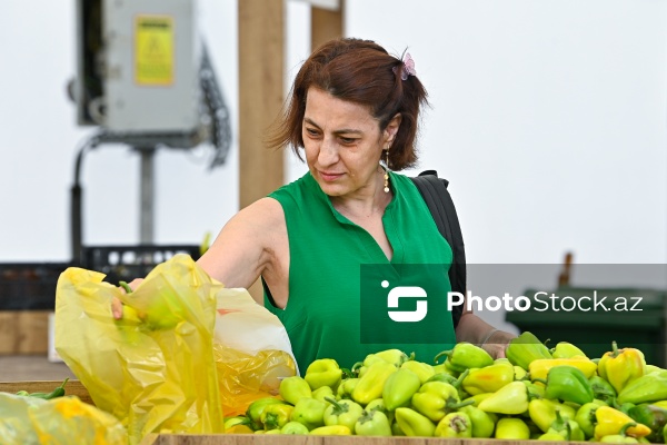Bakıda keçirilən “Kənddən Şəhərə” yarmarkası