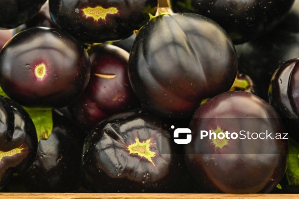 Bakıda keçirilən “Kənddən Şəhərə” yarmarkası