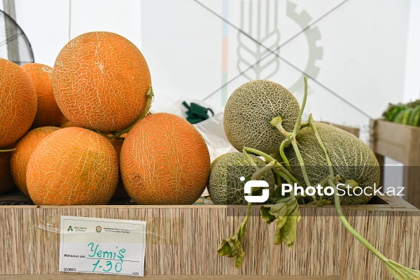 Bakıda keçirilən “Kənddən Şəhərə” yarmarkası