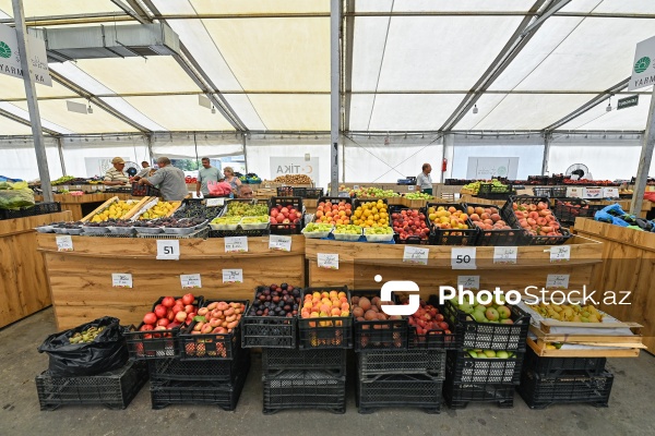 Bakıda keçirilən “Kənddən Şəhərə” yarmarkası