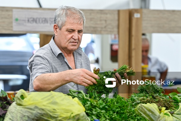 Bakıda keçirilən “Kənddən Şəhərə” yarmarkası