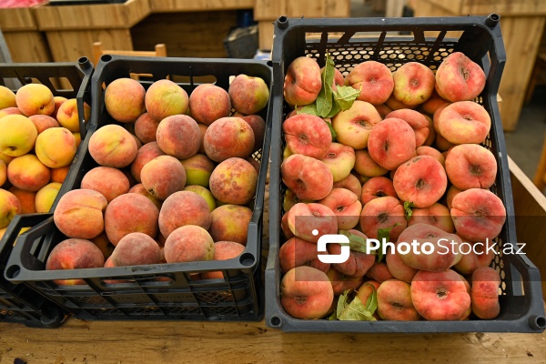 Bakıda keçirilən “Kənddən Şəhərə” yarmarkası