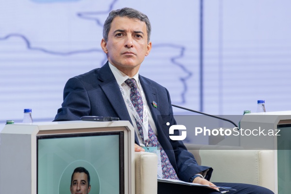 Fariz İsmayılzadə - "Mədəni irs və qayıdış hüququ" mövzusunda beynəlxalq konfransda