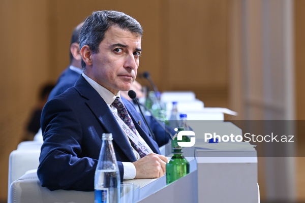 Fariz İsmayılzadə - Milli Məclisin deputatı