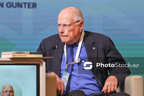 Maykl Martin Günter - Tennesi Texnologiya Universitetinin professoru