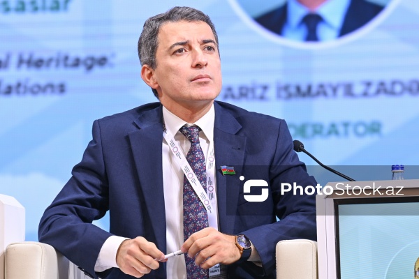 Fariz İsmayılzadə - Milli Məclisin deputatı