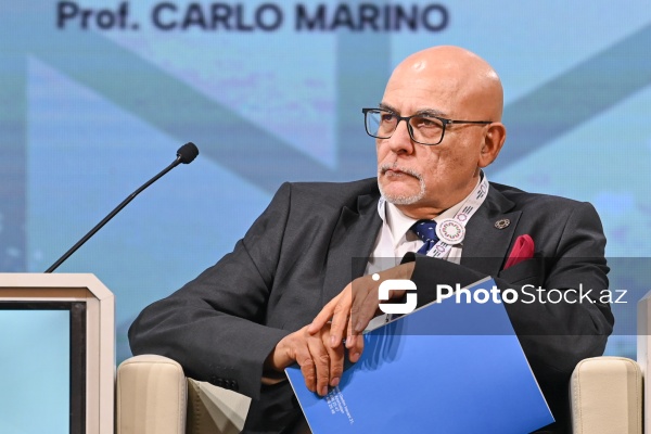 Karlo Marinoya - İtaliya-Azərbaycan Assosiasiyasının vitse-prezidenti