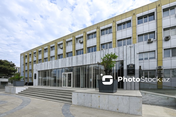 Bakıda keçirilən nərd üzrə ölkə çempionatı