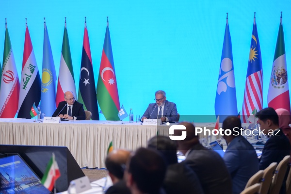 "OPEC+" Əməkdaşlıq Xartiyasının Texniki Komitəsinin iclası