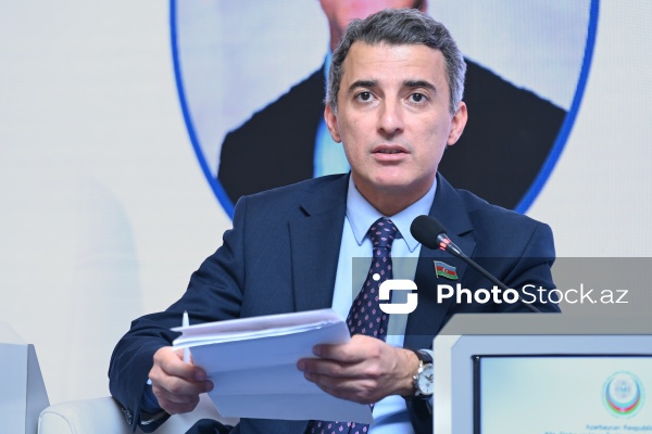 Fariz İsmayılzadə - "Qadın iştirakçılığının təbliği" mövzusunda konfransda