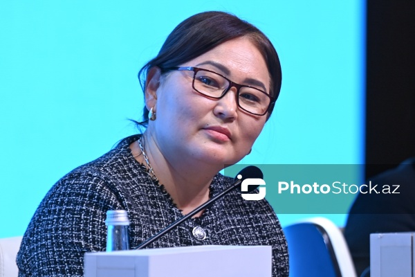 Zarina Kalmuratova - Qırğızıstan Mədəniyyət, İnformasiya və Gənclər Siyasəti Nazirliyində baş mütəxəssis