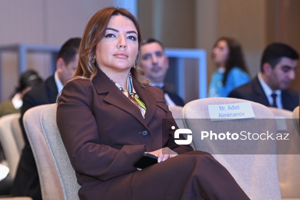 Aygün Əliyeva - QHT-lərə Dövlət Dəstəyi Agentliyinin İcraçı direktoru