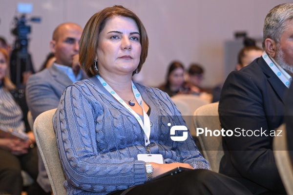 Vüsalə Mahirqızı - "APA Media Group”un baş direktoru