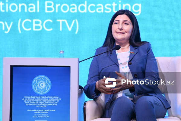 Sevil Mikayılova - Milli Məclisin deputatı