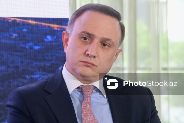 Elmir Həbibullayev - “Xəzər regionuna investisiyalar” adlı paneldə