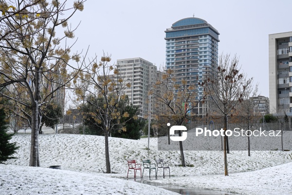 Bakıda qarlı hava şəraiti