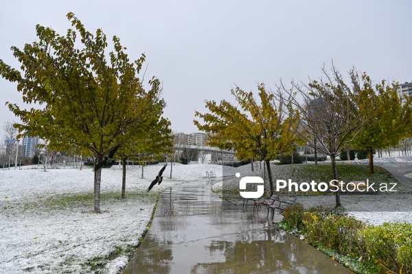 Bakıda qarlı hava şəraiti