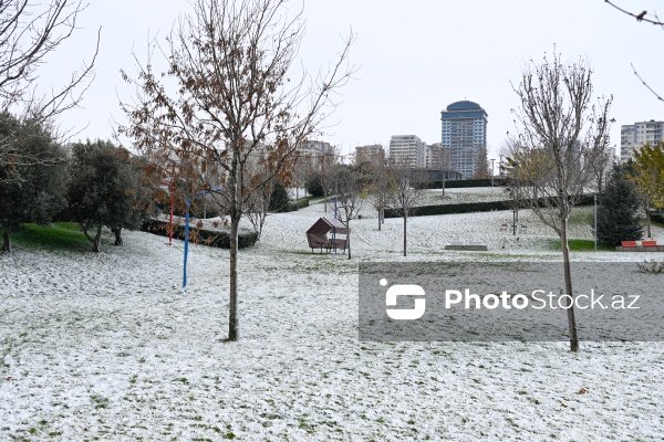 Bakıda qarlı hava şəraiti