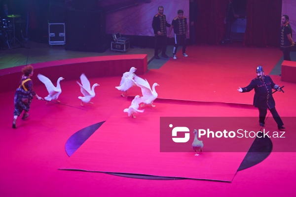 Bakıda təşkil olunan Avropanın ən böyük şapito sirki