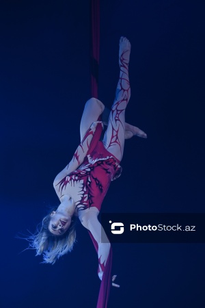 Bakıda təşkil olunan Avropanın ən böyük şapito sirki