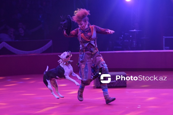 Bakıda təşkil olunan Avropanın ən böyük şapito sirki