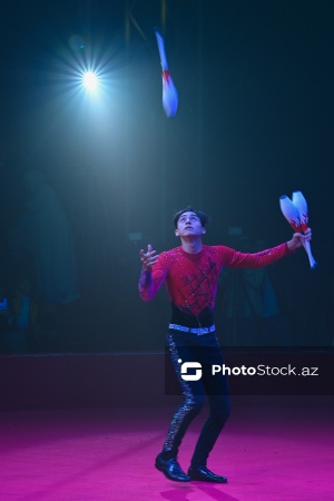 Bakıda təşkil olunan Avropanın ən böyük şapito sirki