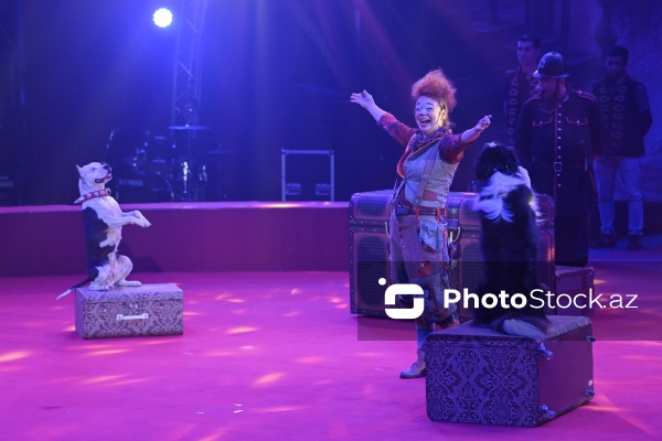 Bakıda təşkil olunan Avropanın ən böyük şapito sirki