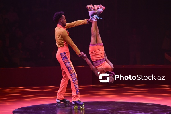 Bakıda təşkil olunan Avropanın ən böyük şapito sirki