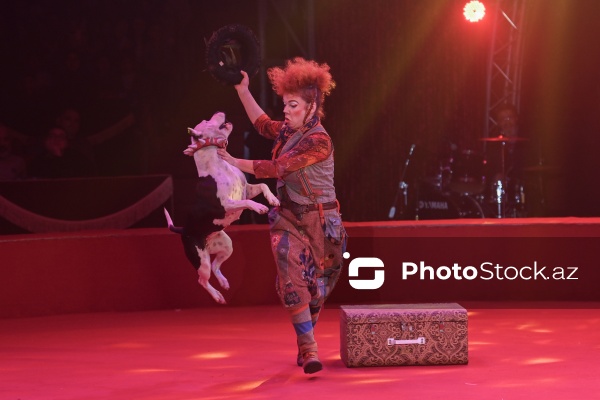 Bakıda təşkil olunan Avropanın ən böyük şapito sirki