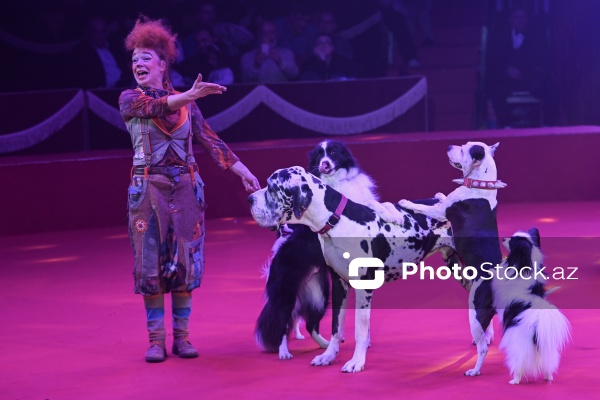 Bakıda təşkil olunan Avropanın ən böyük şapito sirki