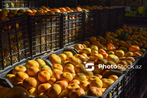 Qaradağ rayonunda yerləşən "Meyvəli" bazarı
