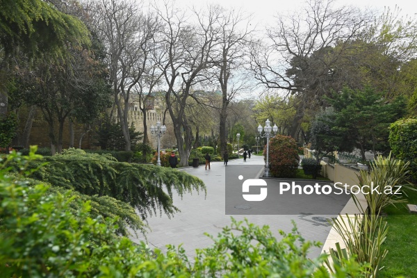 Bakının ən qədim və gözəl parklarından biri olan Filarmoniya bağı