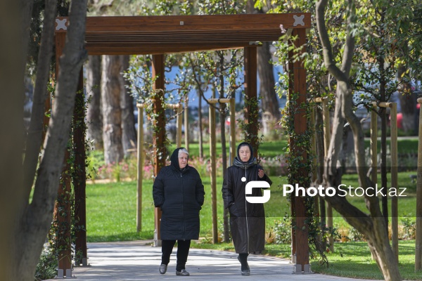 Bakının Nərimanov rayonunda salınan yeni park
