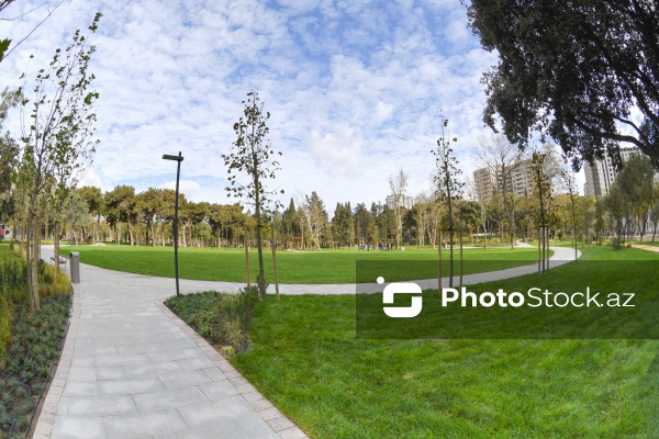 Bakının Nərimanov rayonunda salınan yeni park