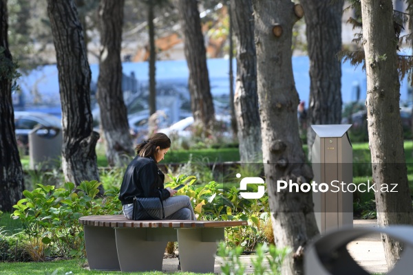 Bakının Nərimanov rayonunda salınan yeni park