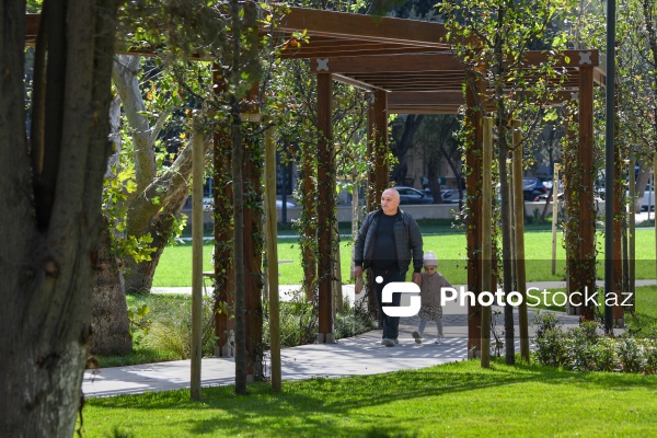 Bakının Nərimanov rayonunda salınan yeni park