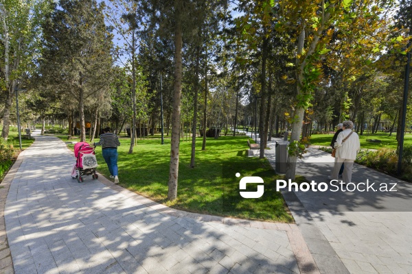 Bakının Nərimanov rayonunda salınan yeni park