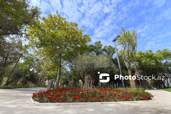 Bakının Nərimanov rayonunda salınan yeni park