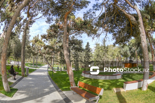 Bakının Nərimanov rayonunda salınan yeni park