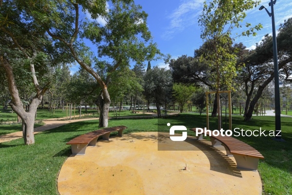 Bakının Nərimanov rayonunda salınan yeni park